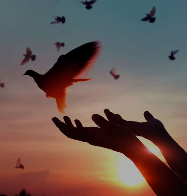 Корпоративная культура	